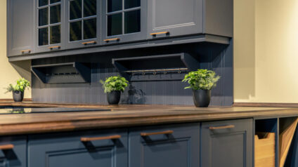 Kitchen Cabinet Color Combinations