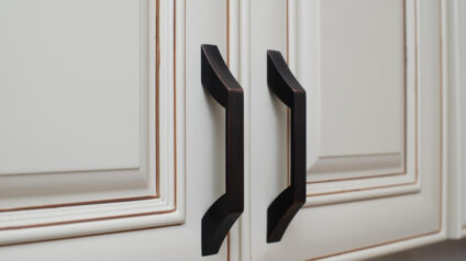 Mold on Cabinets