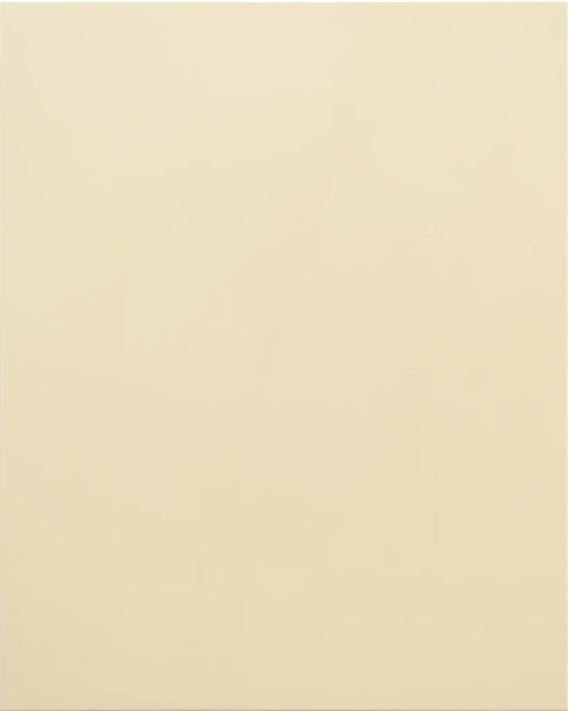 AGT New Gray 729 Soft Touch cabinet door