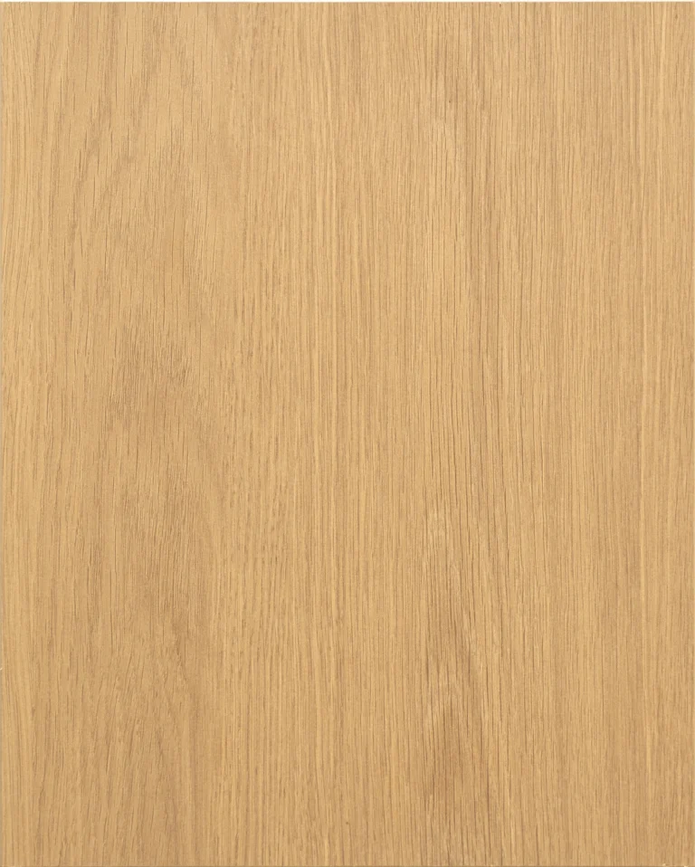 Tafisa Prodigy slab door